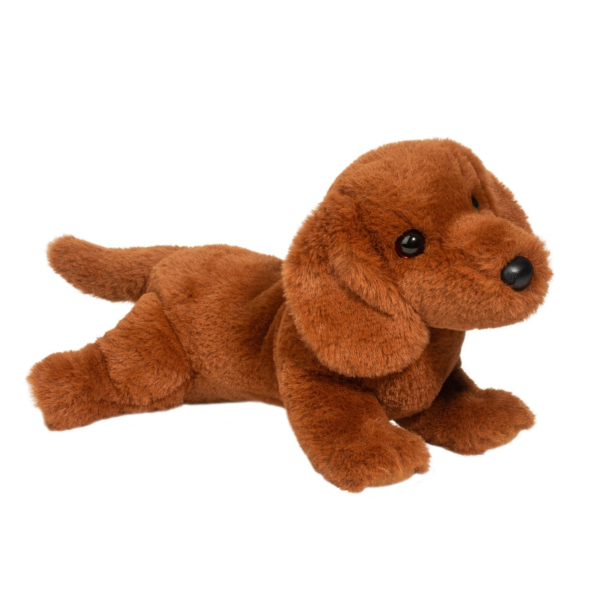 Douglas Delanie Dachshund