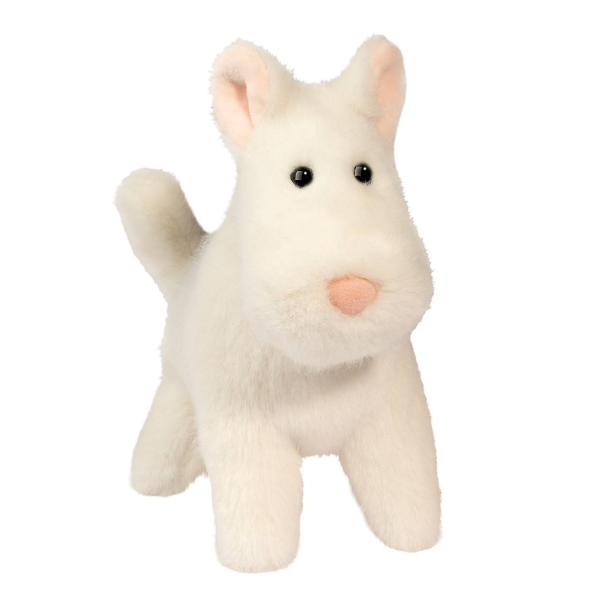 Douglas Janice Terrier