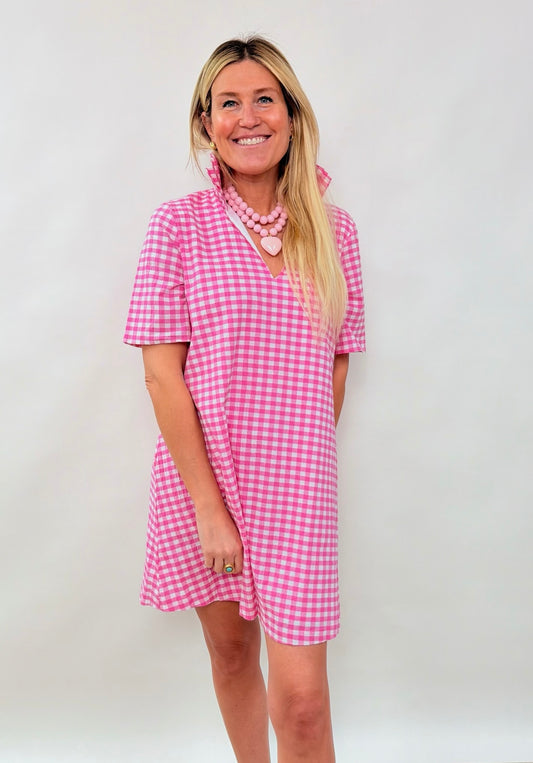 Pink Gingham Ruffle Collar Dress