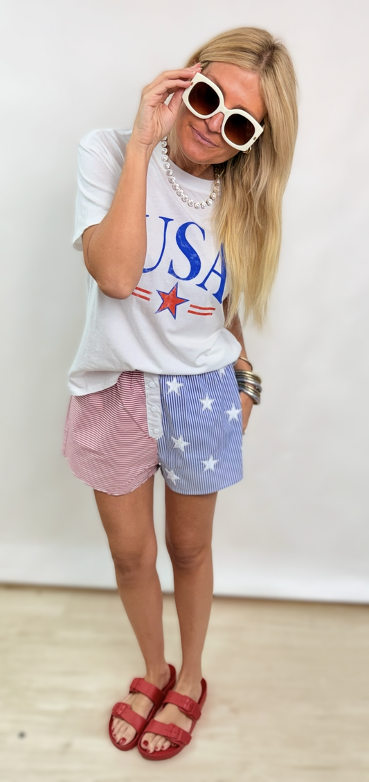 Z Supply USA Star Boyfriend Tee